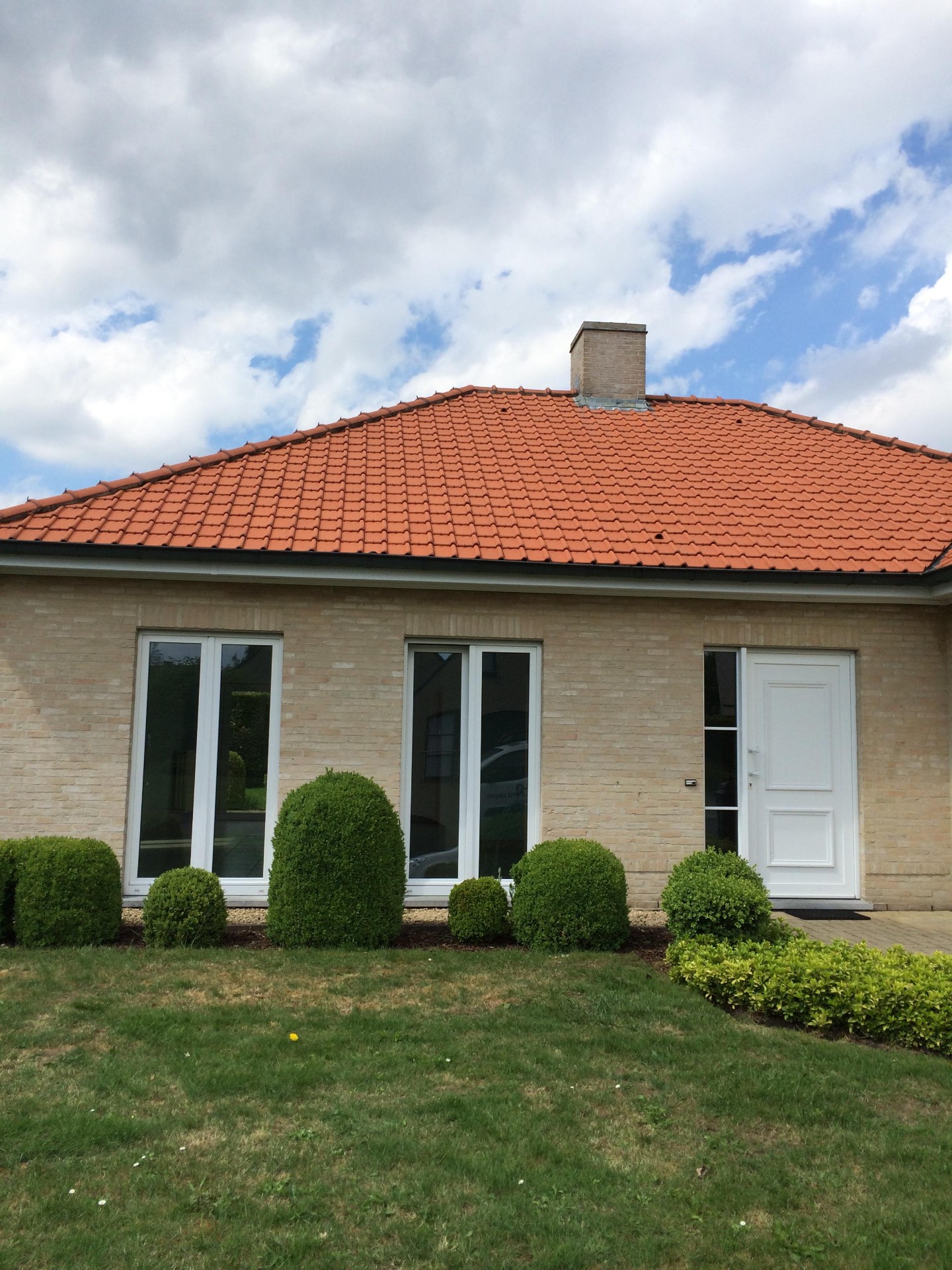 Dak ontmossen