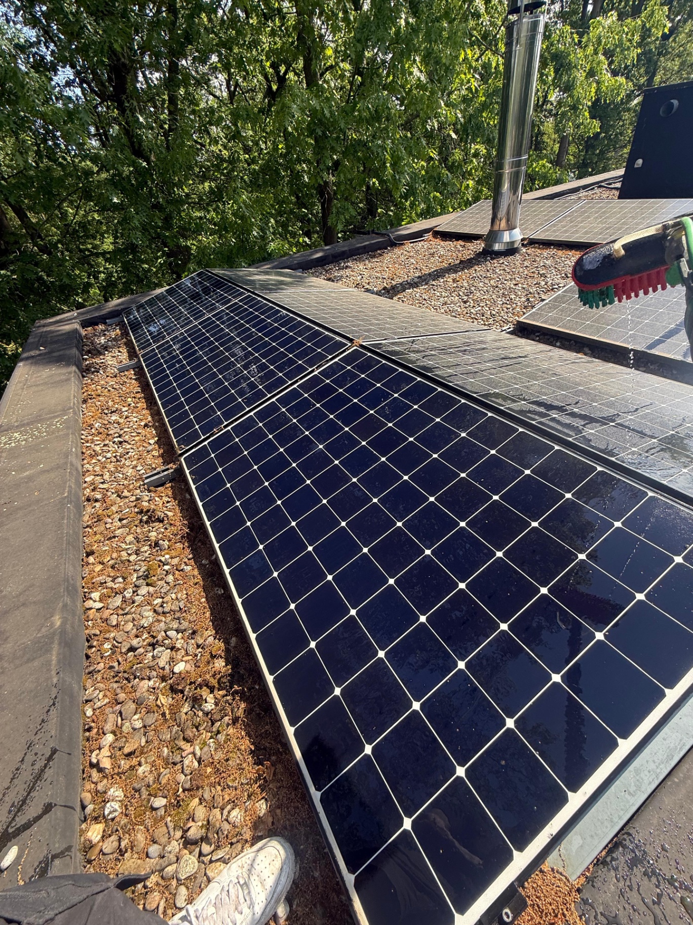 Zonnepanelen reinigen